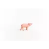 schleich FARM WORLD Paršelis, 3 m., Ūkis, Ūkio gyvūnai / ūkio žaislai, Rožinė, Plastikas