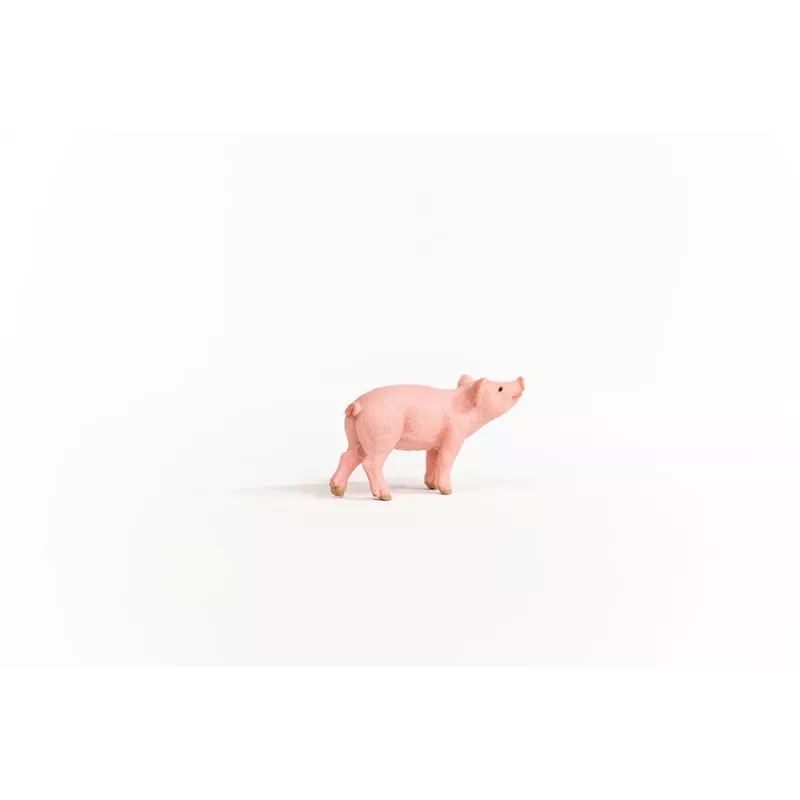 schleich FARM WORLD Paršelis, 3 m., Ūkis, Ūkio gyvūnai / ūkio žaislai, Rožinė, Plastikas