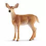 Figūrėlė Schleich WILD LIFE Baltoji elnė