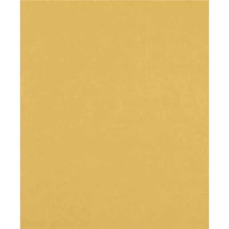 Bosch 2 608 900 960 rankinio šlifavimo reikmenys Abrazyvinis lapas 1 vnt.