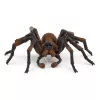 schleich Haris Poteris Aragogas, 6 m., Magiški padarai, juoda, ruda, balta, plastikas