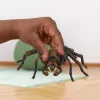 schleich Haris Poteris Aragogas, 6 m., Magiški padarai, juoda, ruda, balta, plastikas