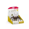 schleich Haris Poteris Aragogas, 6 m., Magiški padarai, juoda, ruda, balta, plastikas