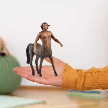 Figūrėlė Schleich Haris Poteris Fircas Ruda 13986