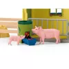 schleich FARM WORLD Didelis ūkis su gyvūnais ir priedais, Ūkis, 3 m., Daugiaspalvis, Plastikas