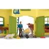 schleich FARM WORLD Didelis ūkis su gyvūnais ir priedais, Ūkis, 3 m., Daugiaspalvis, Plastikas