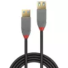 Lindy 3 m USB 3.2 Type A ilginimo laidas, 5 Gbps, Anthra Line, 3 m, USB A, USB A, USB 3.2 Gen 1 (3.1 Gen 1), 5 Gbit/s, juoda