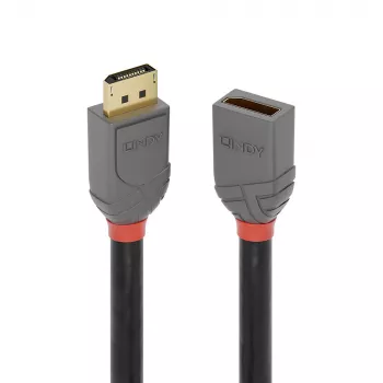 Lindy 1 m DisplayPort 1.4 ilginamasis kabelis, Anthra Line, 1 m, DisplayPort, DisplayPort, Vyr., Mot., 7680 x 4320 pikseliai
