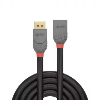 Lindy 1 m DisplayPort 1.4 ilginamasis kabelis, Anthra Line, 1 m, DisplayPort, DisplayPort, Vyr., Mot., 7680 x 4320 pikseliai