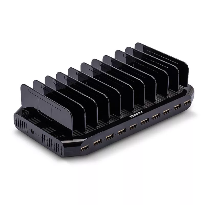 Lindy 96W 10 prievadų USB įkrovimo stotelė, laisvai pastatoma, plastikinė, juoda, kontaktinis, su visais USB A tipo įrenginiais, maitinimas