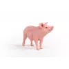 Schleich fermos kiaulės modelis 13933, rožinė, rekomenduojamas amžius 3+