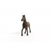 schleich HORSE CLUB Oldenburgo eržilas, 5 m., Arkliai, Ruda, Plastikas