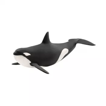 Figūrėlė Schleich WILD LIFE žudikas banginis