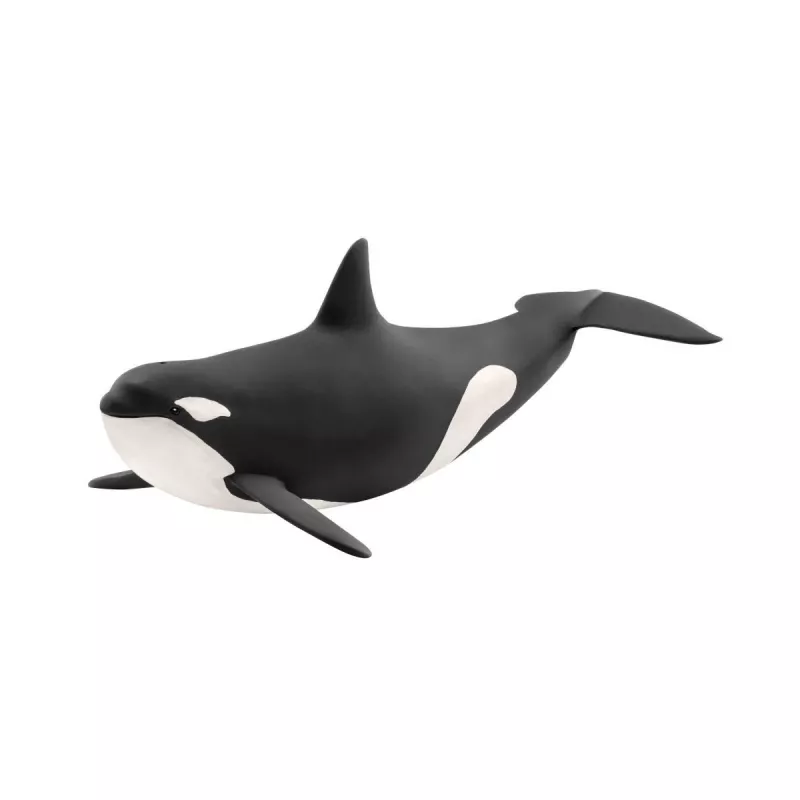 Figūrėlė Schleich WILD LIFE žudikas banginis