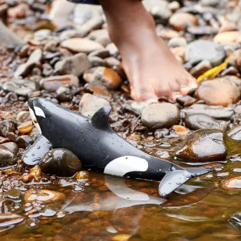 Figūrėlė Schleich WILD LIFE žudikas banginis