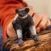Figūrėlė Schleich WILD LIFE Indri Spalvinga 14877S Rekomenduojamas amžius nuo 3 metų