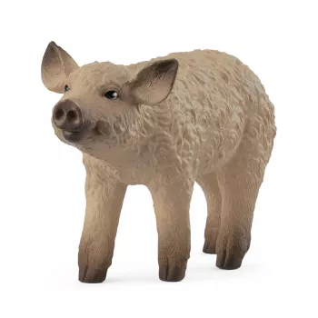 schleich FARM WORLD Mangalica paršelis, 3 m., Ūkis, Ūkio gyvūnai / ūkio žaislai, Įvairiaspalvis