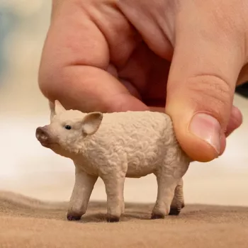 schleich FARM WORLD Mangalica paršelis, 3 m., Ūkis, Ūkio gyvūnai / ūkio žaislai, Įvairiaspalvis
