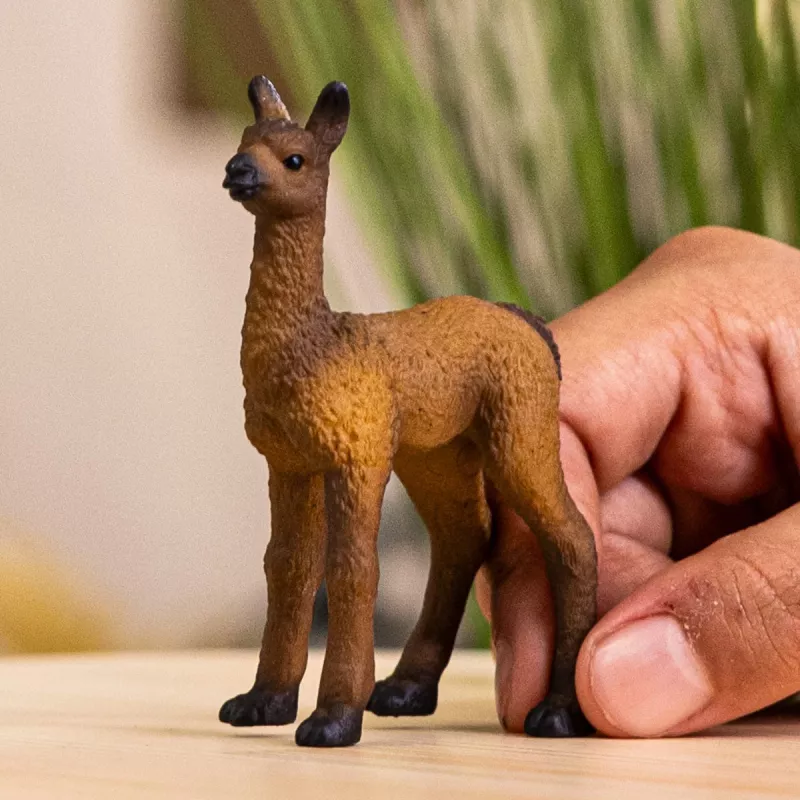 schleich FARM WORLD Lamos jauniklis, 3 metų, Ūkis, Ūkio gyvūnai / ūkio žaislai, Įvairiaspalvis