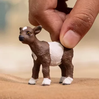 schleich FARM WORLD Ožkytė, 3 metų, Ūkis, Ūkio gyvūnai / ūkio žaislai, Daugiaspalvė