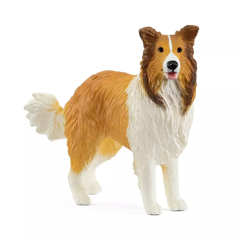 schleich FARM WORLD Kolis, 3 m., Ūkis, Ūkio gyvūnai / ūkio žaislai, Daugiaspalvis