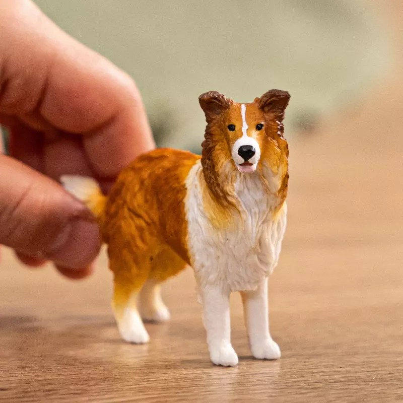 schleich FARM WORLD Kolis, 3 m., Ūkis, Ūkio gyvūnai / ūkio žaislai, Daugiaspalvis