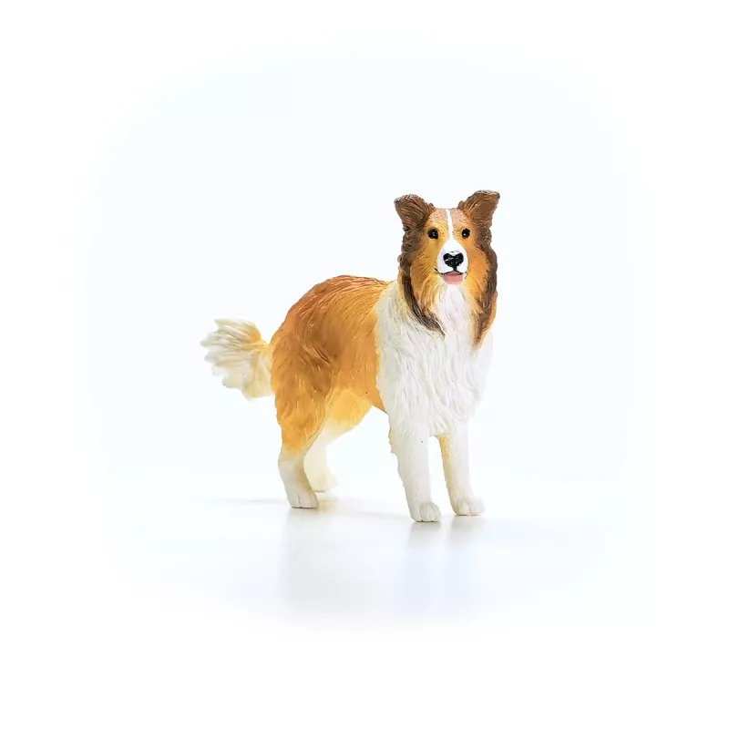 schleich FARM WORLD Kolis, 3 m., Ūkis, Ūkio gyvūnai / ūkio žaislai, Daugiaspalvis
