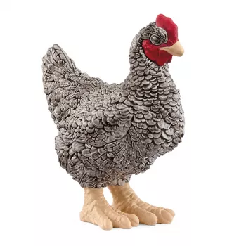 schleich FARM WORLD Plymouth Rock Chicken, 3 metai, Ūkis, Ūkio gyvūnai / žaislai ūkiui, Daugiaspalvė