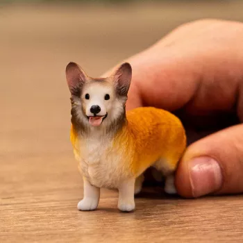 schleich FARM WORLD Velsiečių korgis, 3 m., Ūkis, Ūkio gyvūnai / ūkio žaislai, Įvairiaspalvis