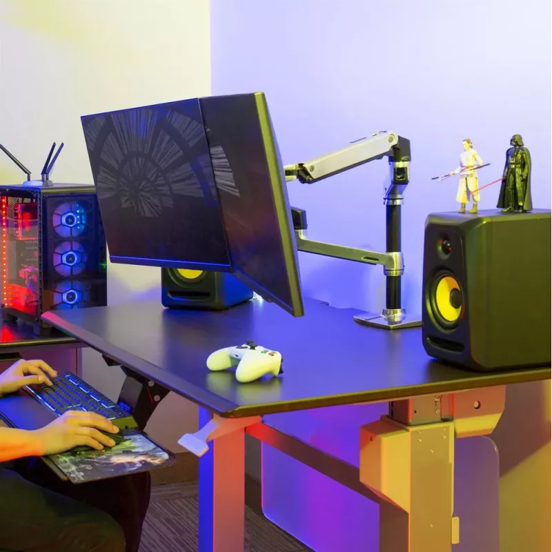 ERGOTRON Lx dviguba sukraunama rankena