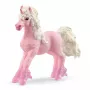 schleich BAYALA gėlių vienaragio kumeliukas, 5 m., Vienaragis / Pegasas, Vienaragiai ir fėjos, įvairiaspalvis
