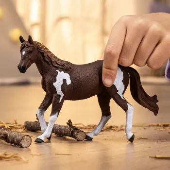 schleich HORSE CLUB Paint Horse kumelė, 5 metų, Arkliai, Įvairiaspalvė
