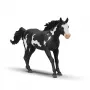 schleich HORSE CLUB Paint Horse kastratas, 5 m., Arkliai, Įvairiaspalvis