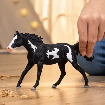 schleich HORSE CLUB Paint Horse kastratas, 5 m., Arkliai, Įvairiaspalvis