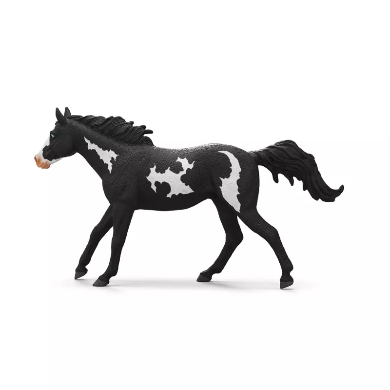 schleich HORSE CLUB Paint Horse kastratas, 5 m., Arkliai, Įvairiaspalvis