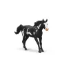 schleich HORSE CLUB Paint Horse kastratas, 5 m., Arkliai, Įvairiaspalvis