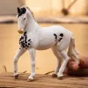 schleich HORSE CLUB Marwari eržilas, 5 m., arkliai, įvairiaspalvis