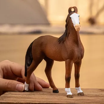 Schleich Horse Figure Schleich HORSE CLUB Marwari kumelė daugiaspalvė