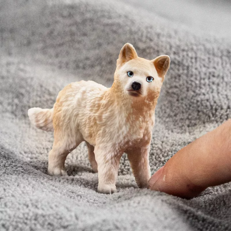 schleich WILD LIFE Arktinio vilko jauniklis, 3 m., Ledas ir vandenynas, Laukiniai gyvūnai / nuotykių žaislai, Įvairiaspalvis