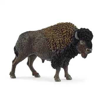 schleich WILD LIFE Bizonas, 3 metai, Safari, Laukiniai gyvūnai / nuotykių žaislai, Įvairiaspalvis
