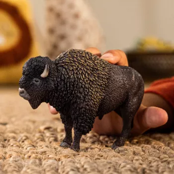 schleich WILD LIFE Bizonas, 3 metai, Safari, Laukiniai gyvūnai / nuotykių žaislai, Įvairiaspalvis