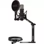 Mikrofonas Rode Microphones NT1 Signature