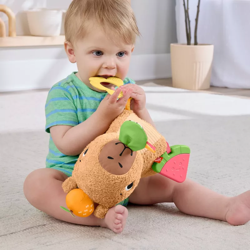 Žaislinė kapibara Fisher-Price Snuggly Snacky Capy nuo 0,5 metų