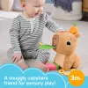Žaislinė kapibara Fisher-Price Snuggly Snacky Capy nuo 0,5 metų