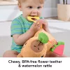 Žaislinė kapibara Fisher-Price Snuggly Snacky Capy nuo 0,5 metų