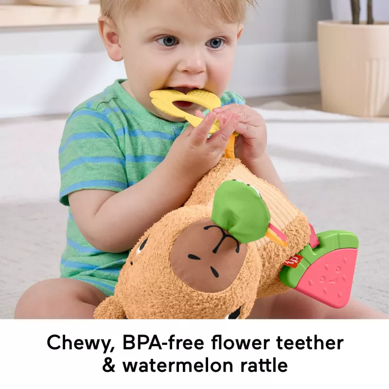 Žaislinė kapibara Fisher-Price Snuggly Snacky Capy nuo 0,5 metų