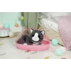 BABY born Mano katytė Cookie su dėžute, lėlės augintinis, 3 m., reikalingos baterijos