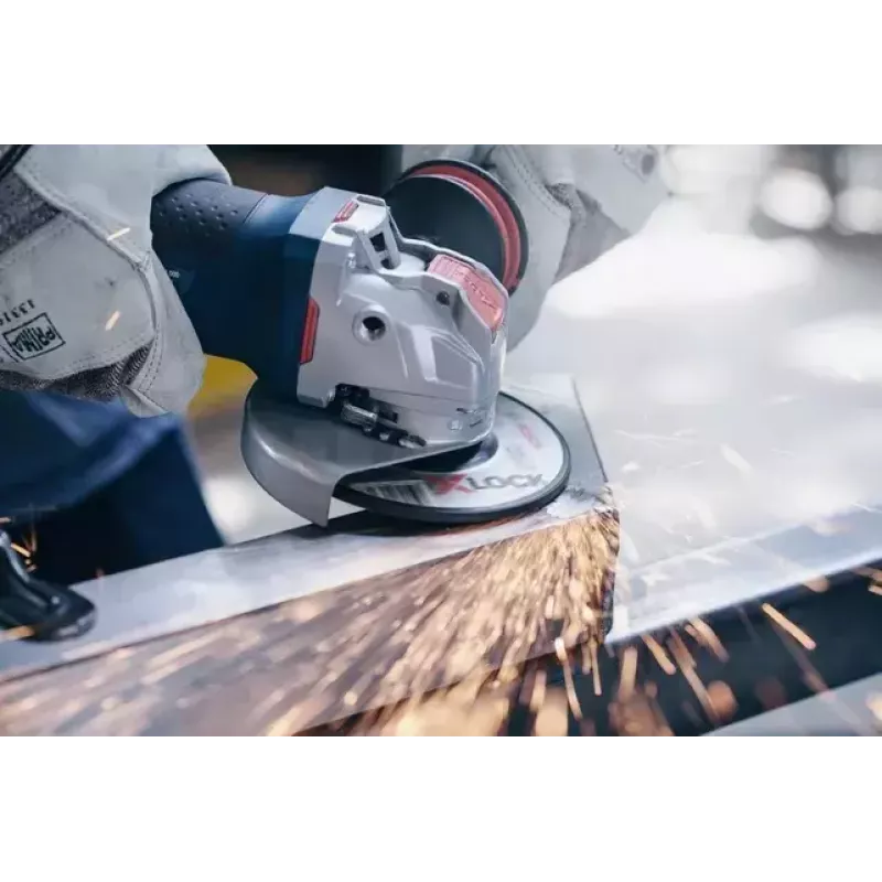 Bosch 2 608 619 259 kampinio šlifuoklio priedas Šlifavimo diskas