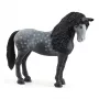 Schleich Horse Club Pura Raza Española kumelė, juoda/pilka, 5+