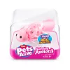 Minkštas žaislas Zuru Pets Alive Swimming Axolotls pliušinis žaislas, žaislinės katės dydis, modelis 9556UQ1